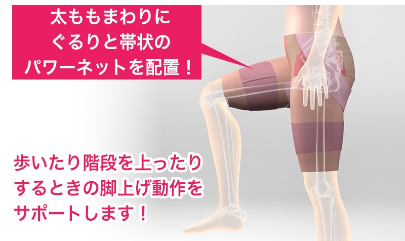 骨盤ベルトINショーツ 太ももパワーネット