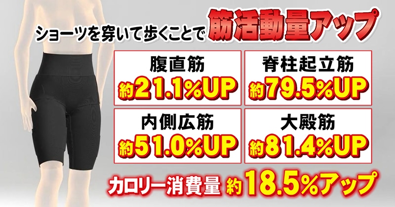 骨盤ベルトINショーツ 筋肉活動量アップ