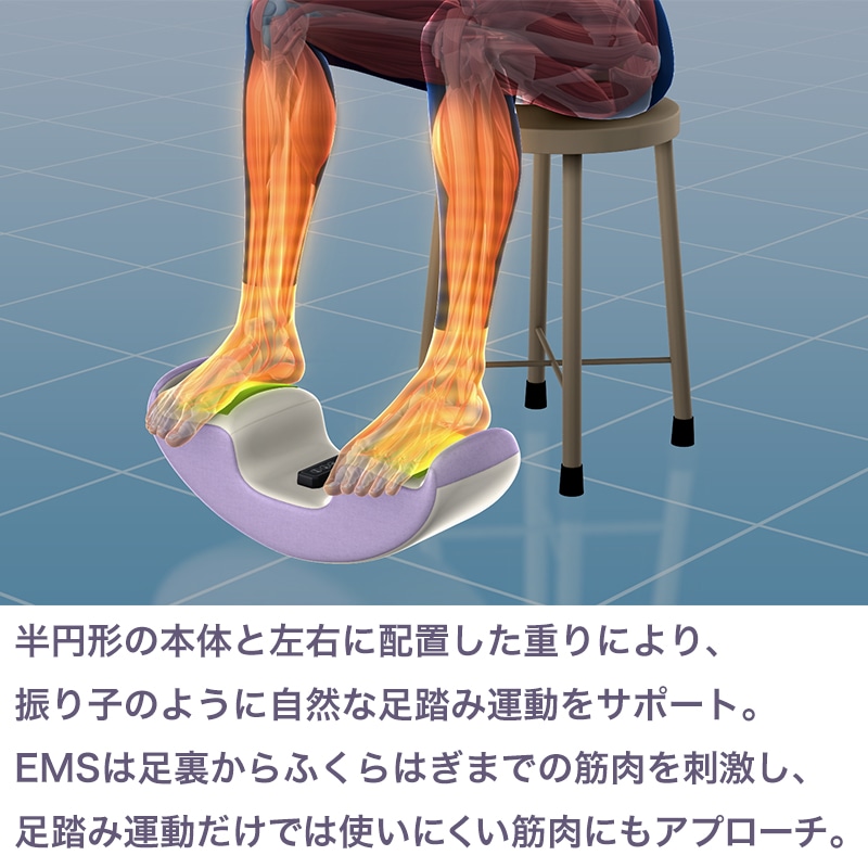 ふみころん【期間限定価格】 パープル