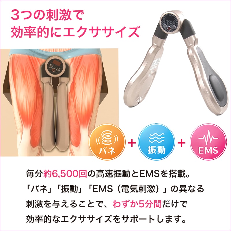 【秋の大感謝祭】デュアルエクサV【期間限定価格＆WEB注文 送料無料】