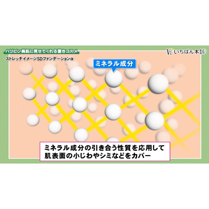 ストレッチイメージSDファンデーションα 2本セット【期間限定価格】