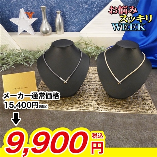 ファイテン 磁気チタンネックレス プラス プラチナブラック