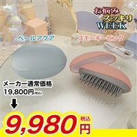 イコエル　イオンコームアイロン【期間限定価格】
