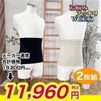 ファイテン 磁気治療腰サポーター 2枚組