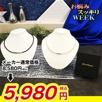 ファイテン 磁気チタンネックレス