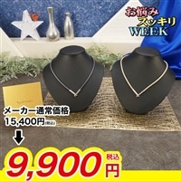 ファイテン 磁気チタンネックレス プラス