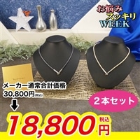 ファイテン 磁気チタンネックレス プラス ２本セット